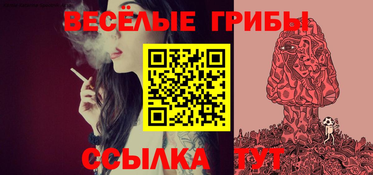 Галлюциногенные грибы MAGIC MUSHROOMS Хасавюрт