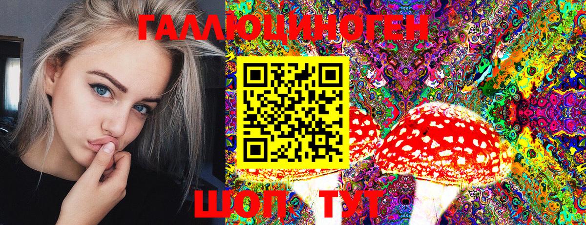 Галлюциногенные грибы Psilocybe  Вход с VPN  Хасавюрт  Галлюциногенные грибы Psilocybine cubensis 